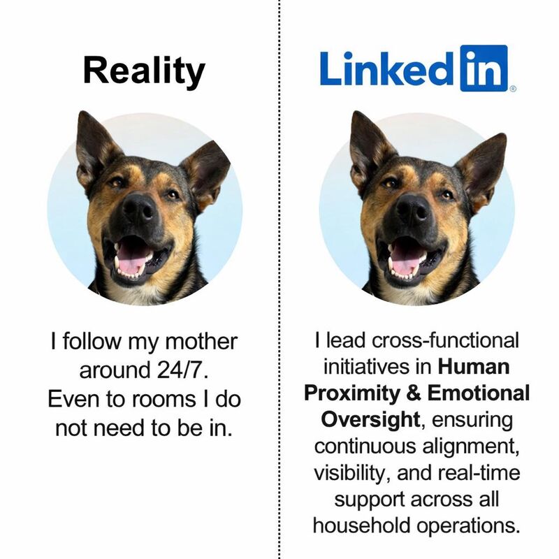 Um ya. Nice try ACE 🐾🐕