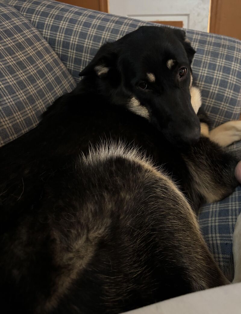 The best snuggle bug ❤️