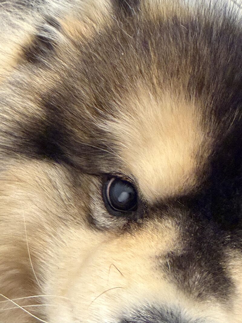 Thoughts on my best friends eye