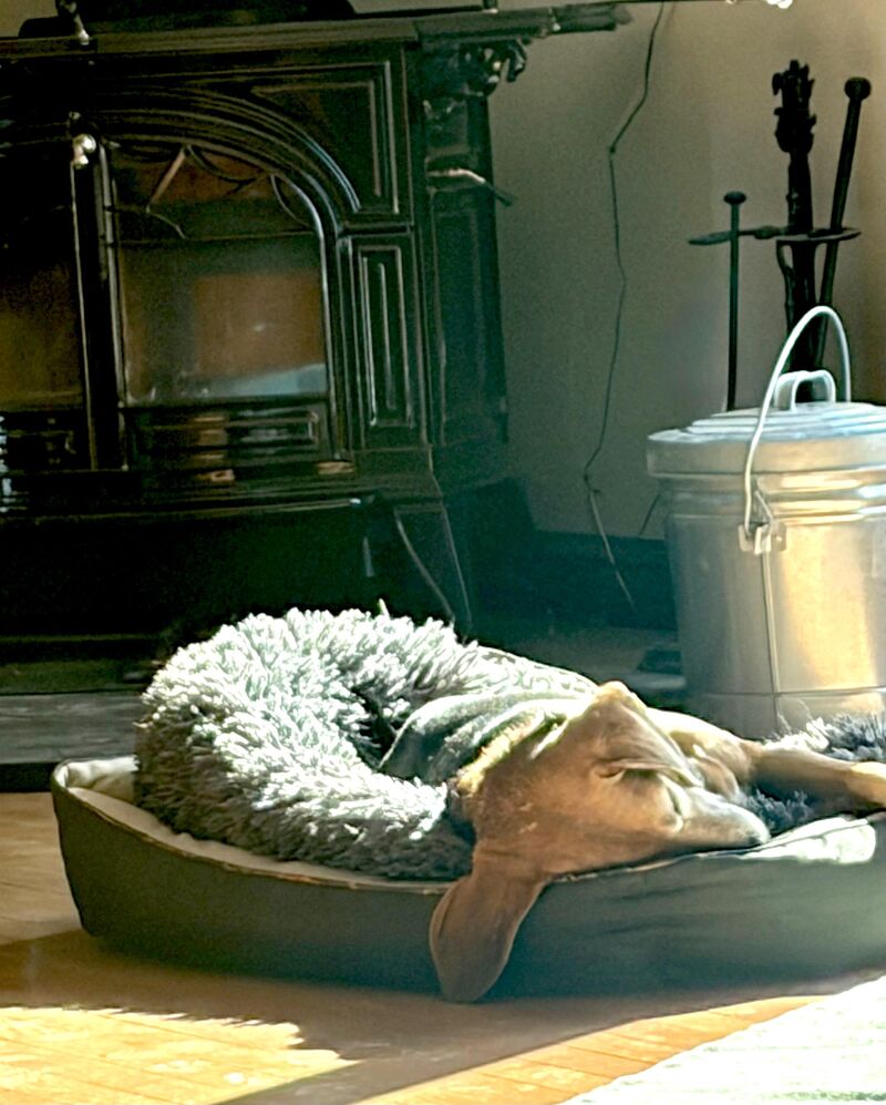 Clark once again loses the fight to his sunbed