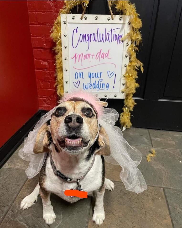 My mom and step dad got married..