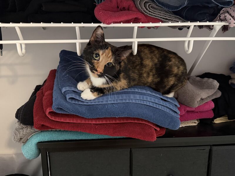 If mama can’t shower, she can’t go to work