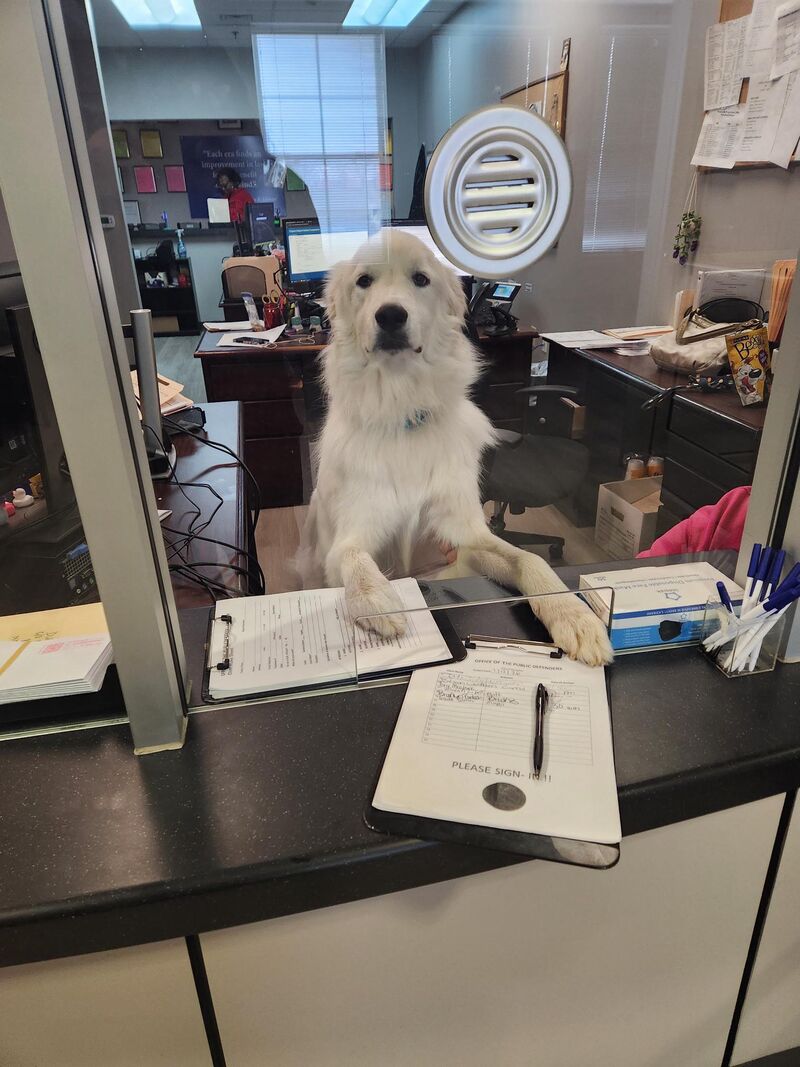 We got a new coworker today