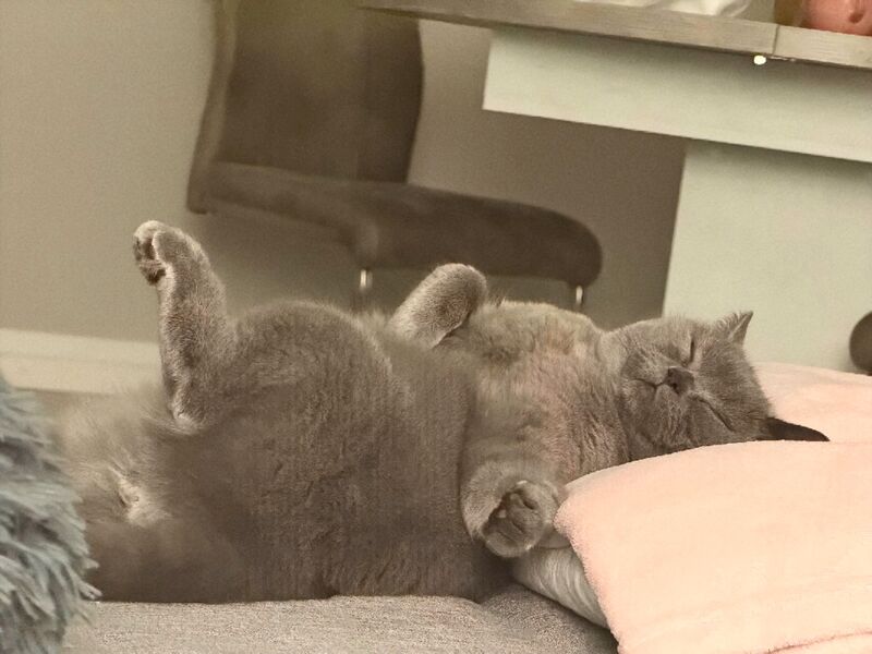 Slept like this for around twenty minutes lol