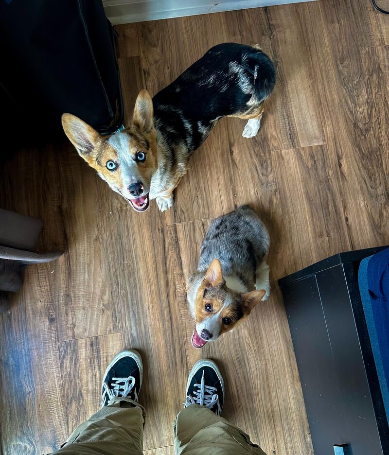 Less than a week in and they already act like they’ve been together forever.