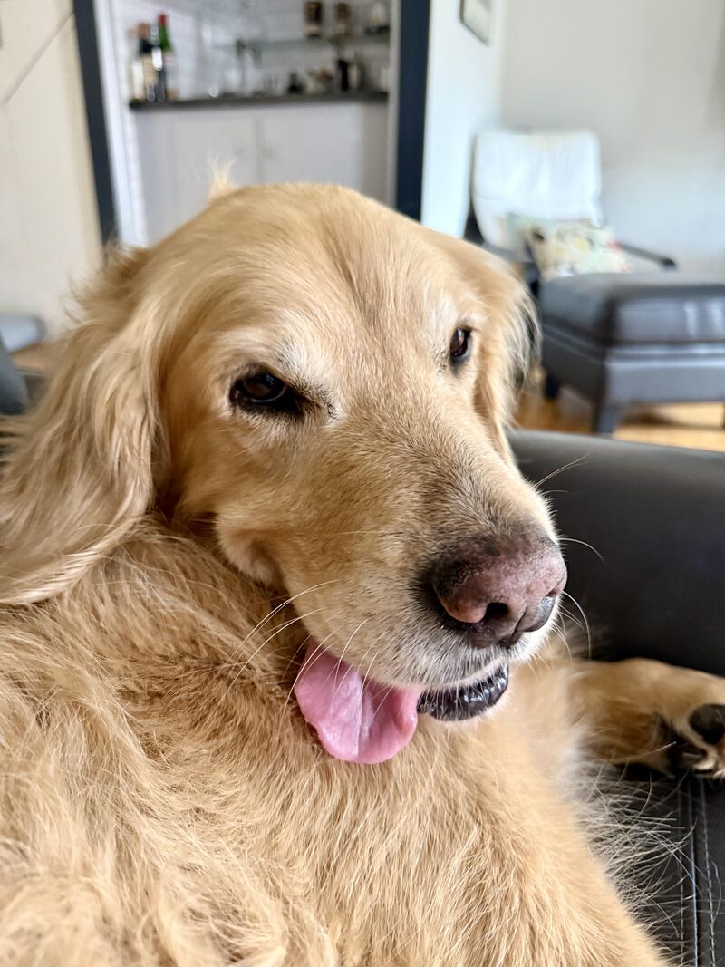 She's really smart I swear