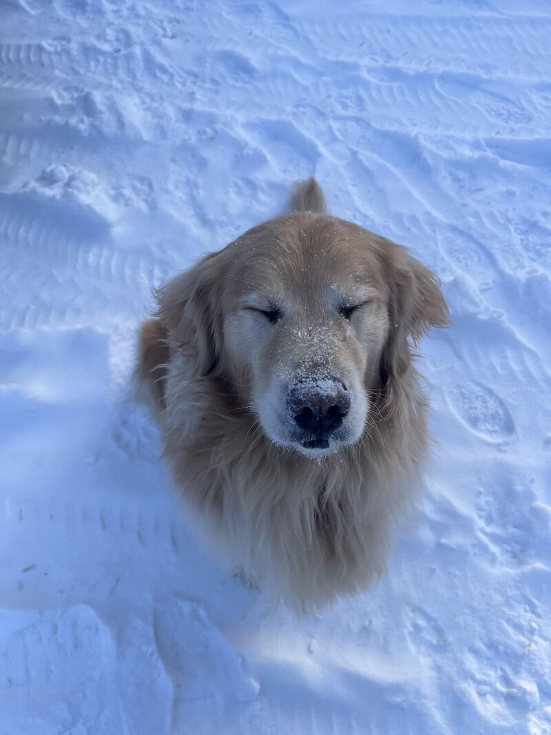 She loves the snow.
