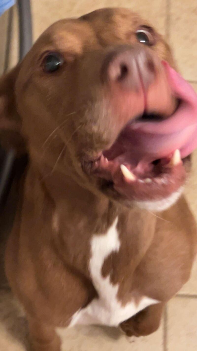 Seconds before your food gets stolen