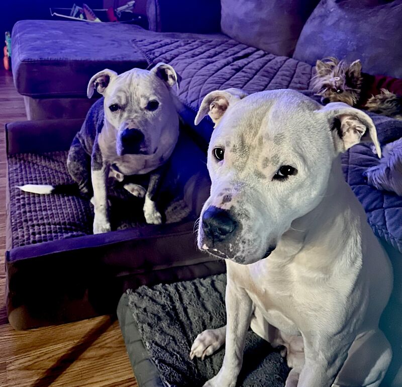 We still do not acknowledge day light savings time….Where’s Breakfast 😒😂