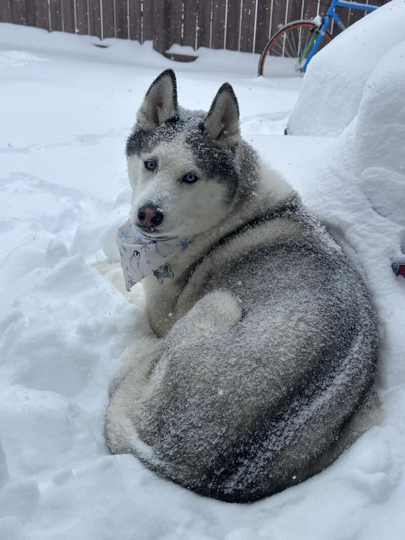 What’s the band name based on this album cover?