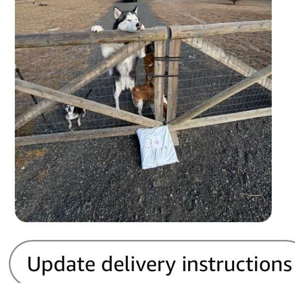 I love this photo that the delivery driver took. He always gives my dogs pets and treats so she assumes this position whenever she sees his truck pull up.