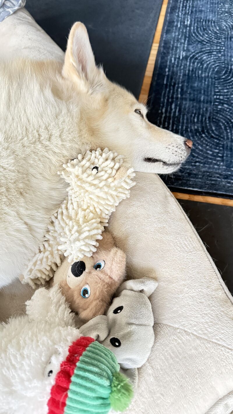 Sleepover with friends