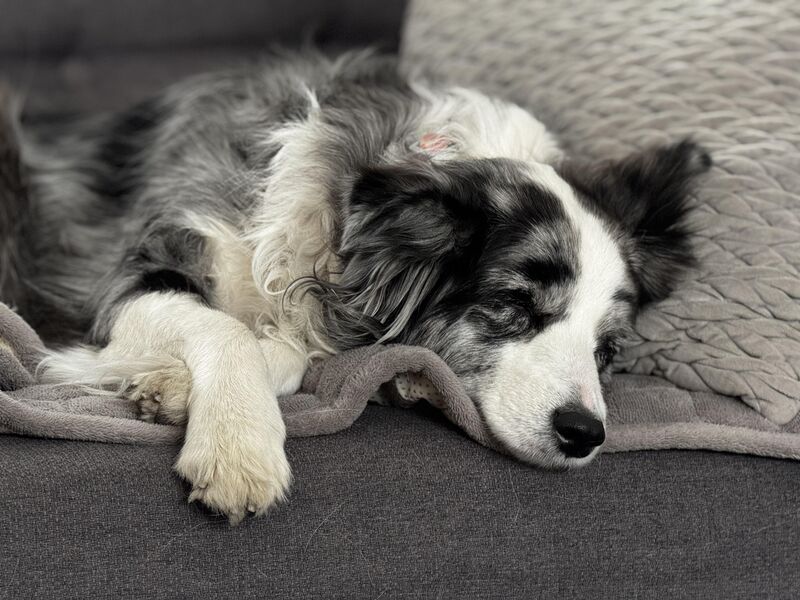 Low-key mornings? We’ve got them.