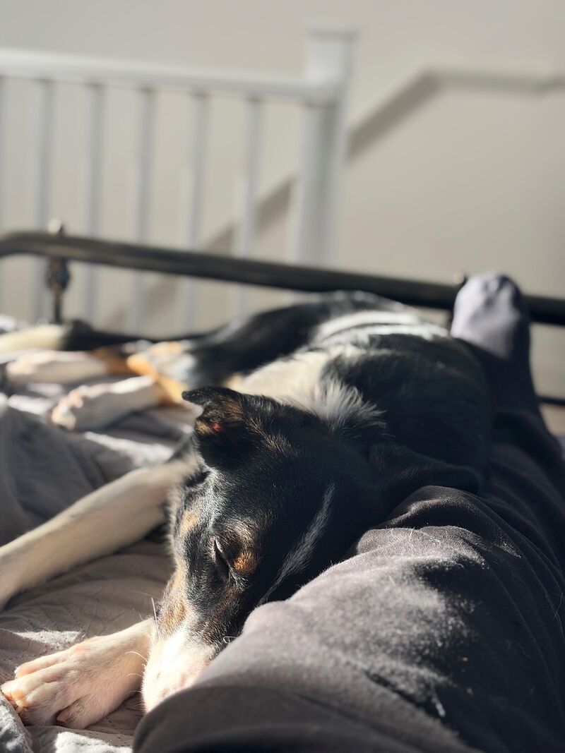 Solar charging in process