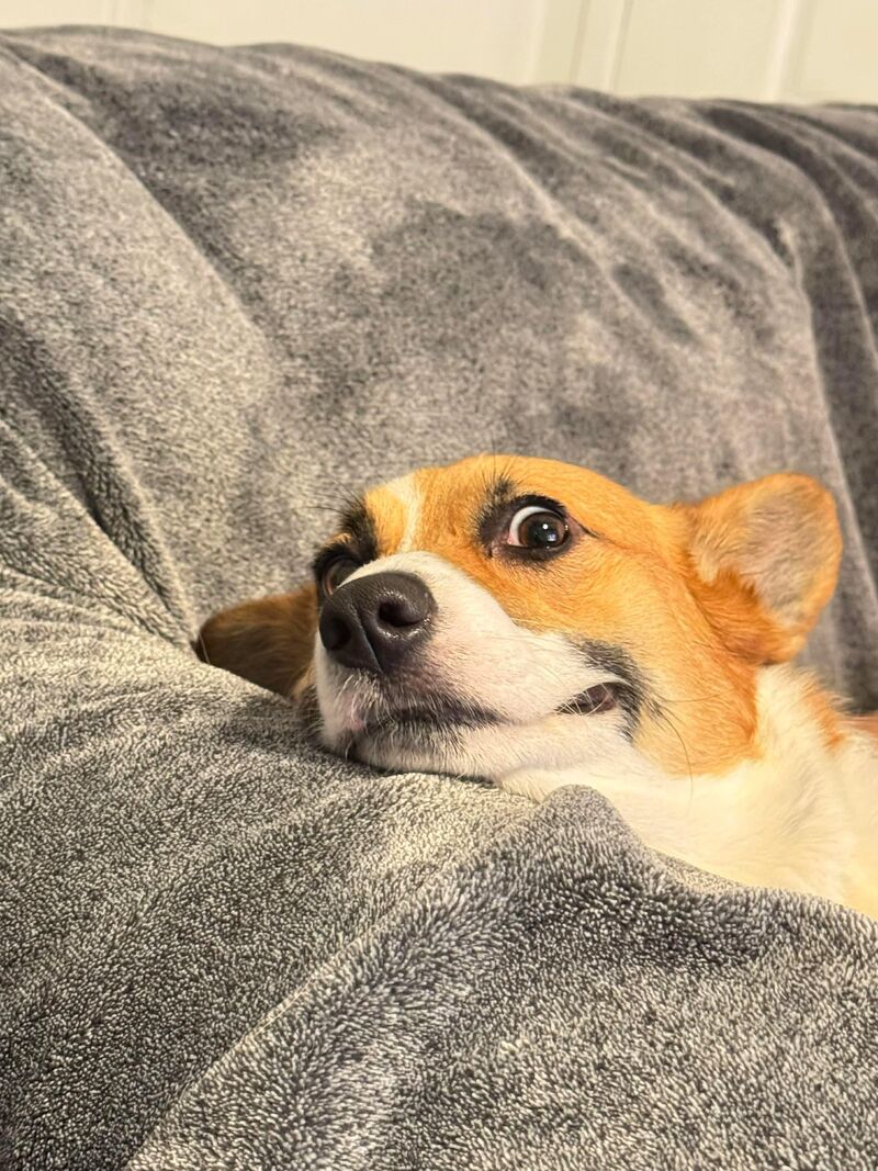 The only love that never breaks, only sheds ❤️