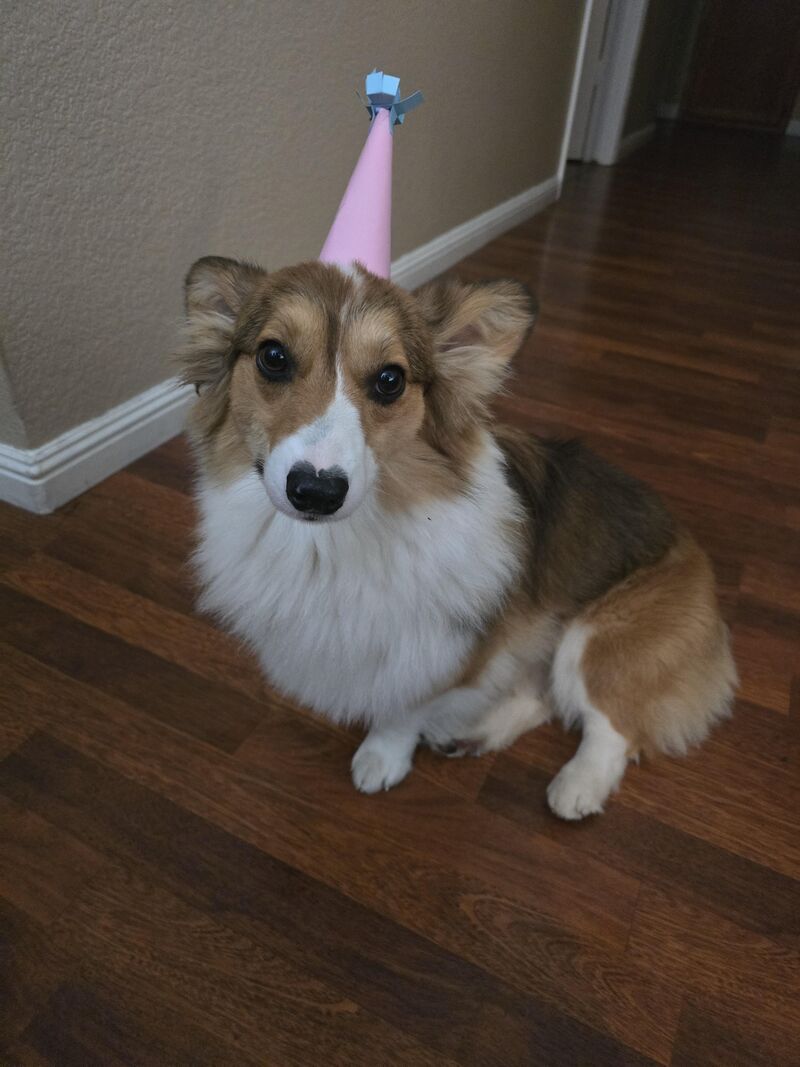 Handmade party hat for mama's birthday