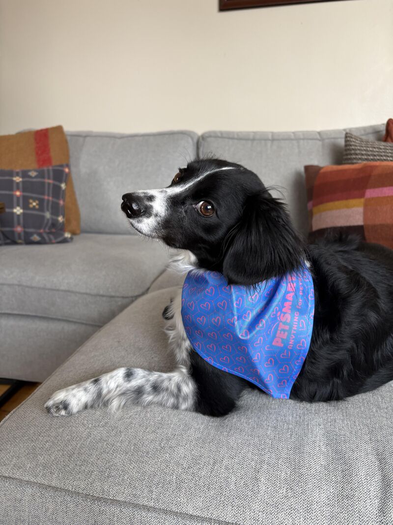 he’s giving Sabrina Carpenter