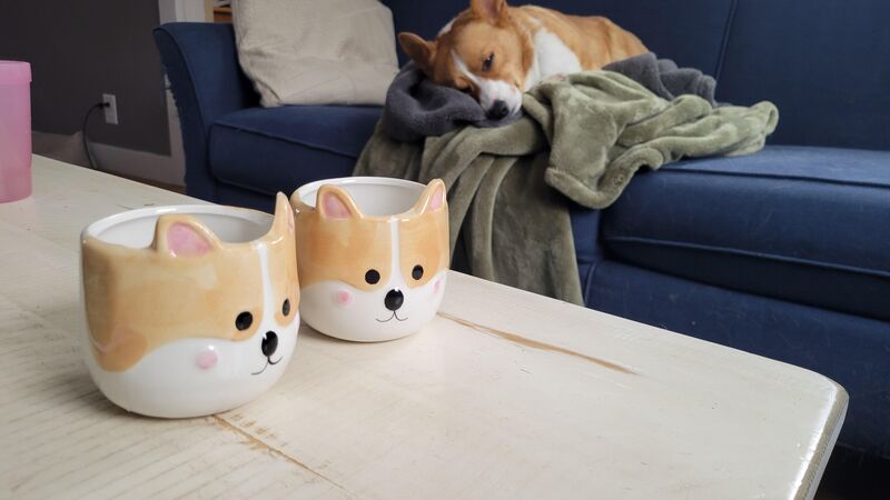 I found the most adorable planters at Dollar Tree!