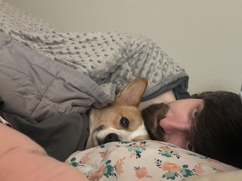 He insists on cuddling with my husband like this every night 😂