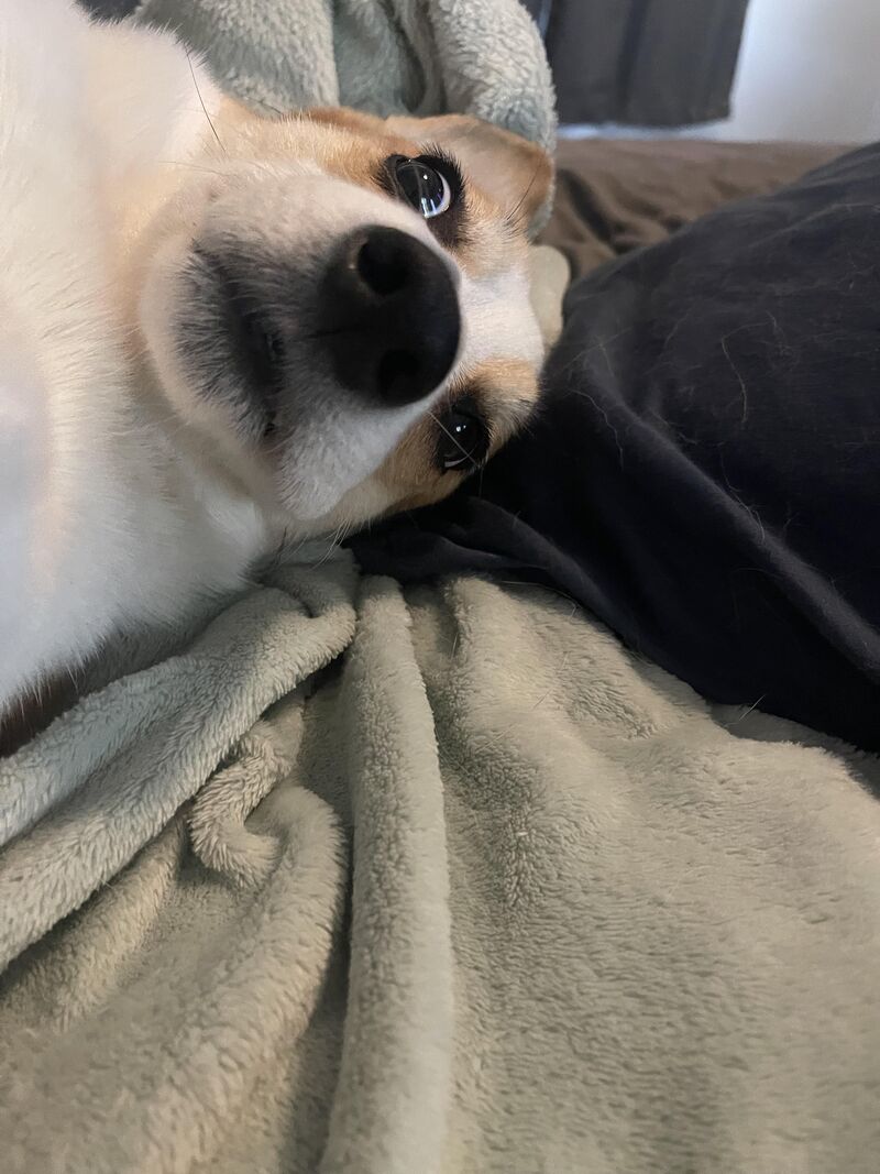 Is she trying to train me too?