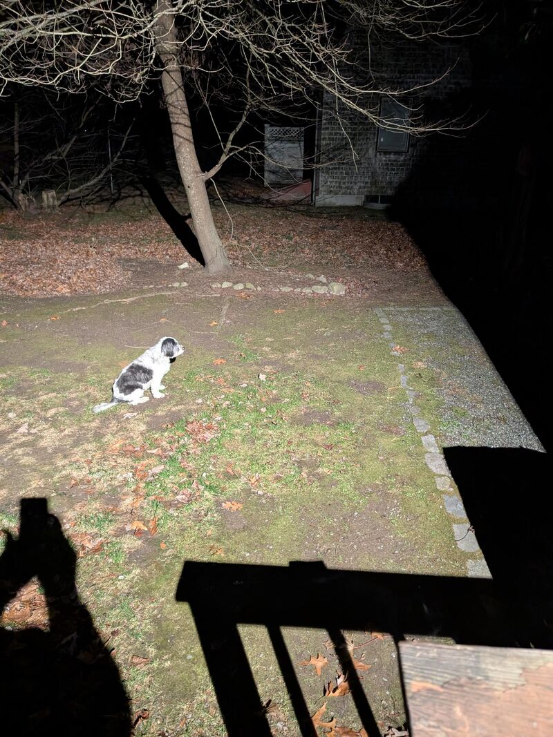 Protecting the light from the darkness