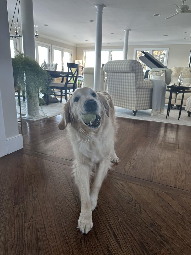 Any day with the ball in the house is a good day