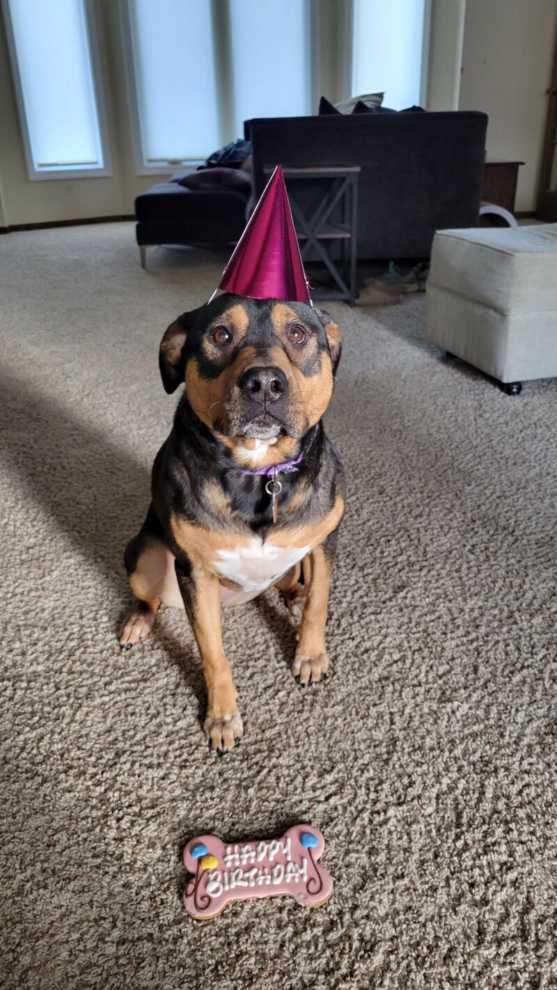 My girl turned 5!