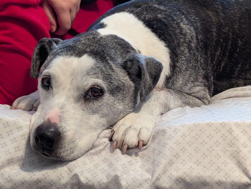 This old timer became a teenager this week!