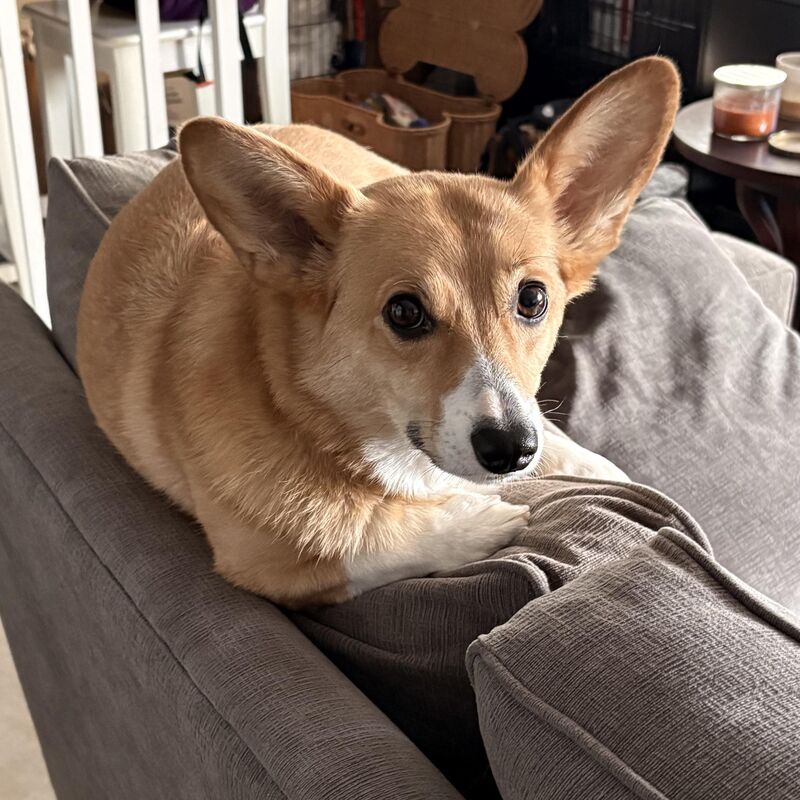 Five years of judgment and love