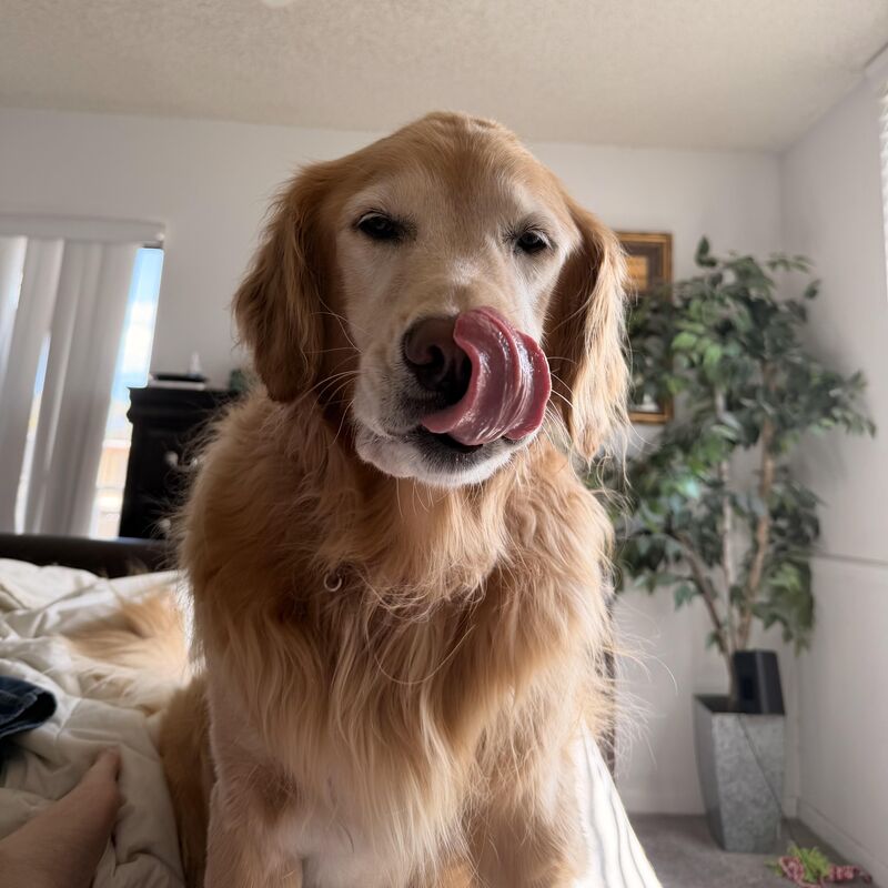 Captured my new favorite picture of Waffle!