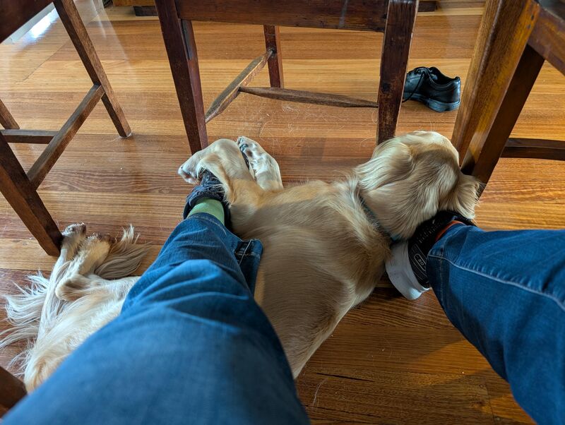 Send help! Can't move!