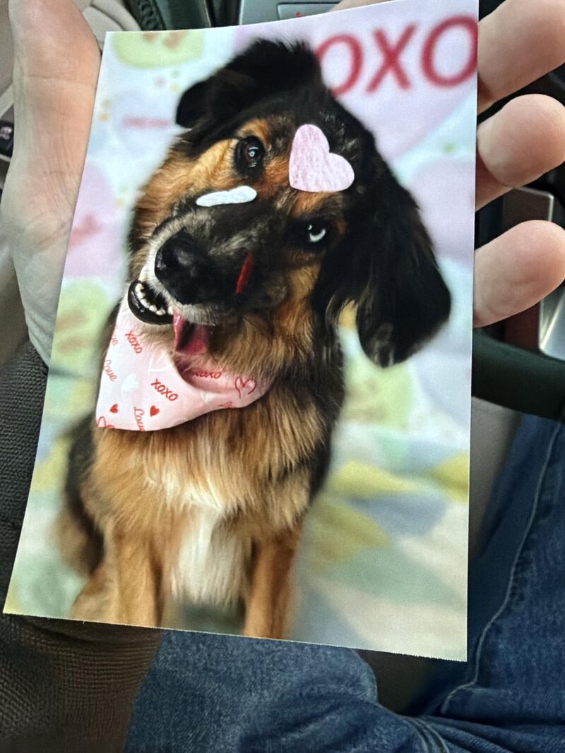 V-day photo of Douglas 🥹