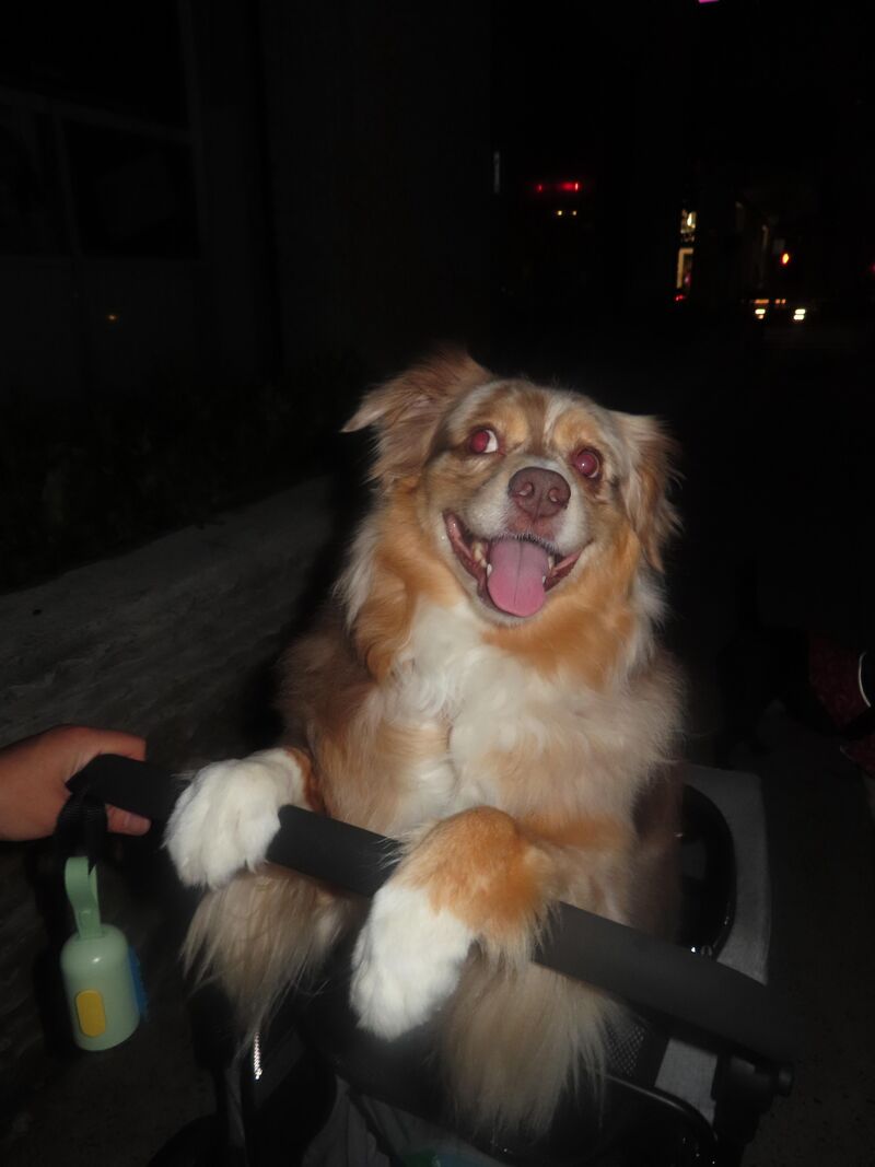 Every once in a while we stroll