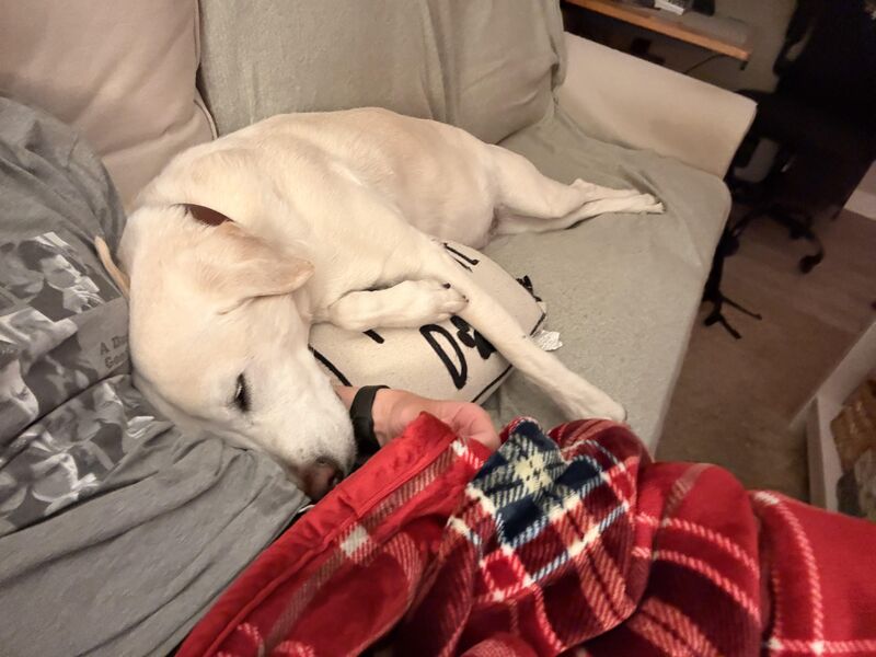 Let me see your pillow prince/esses