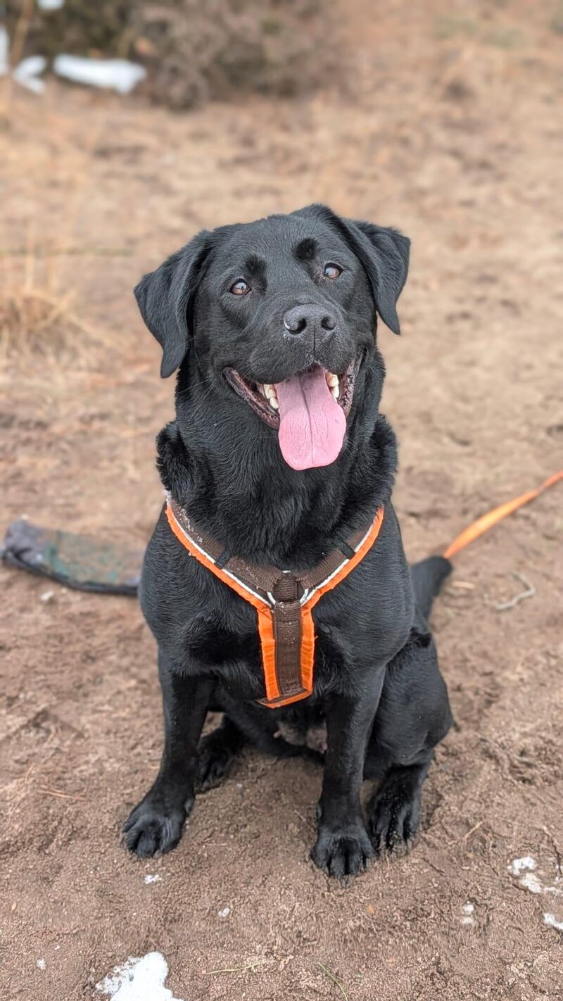 Who is a good girl?😇