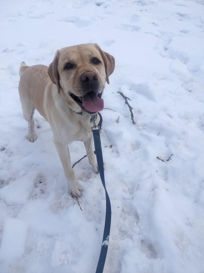 At least he’s happy that the snow isn’t going away