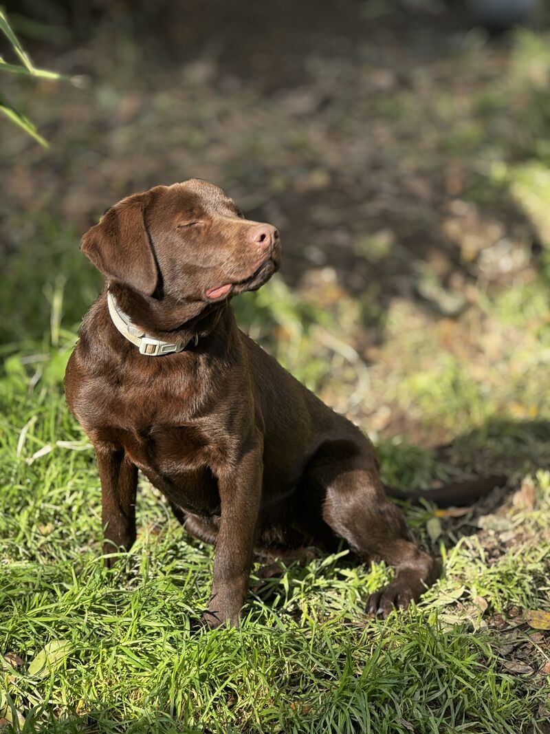 she is beautiful and she knows it