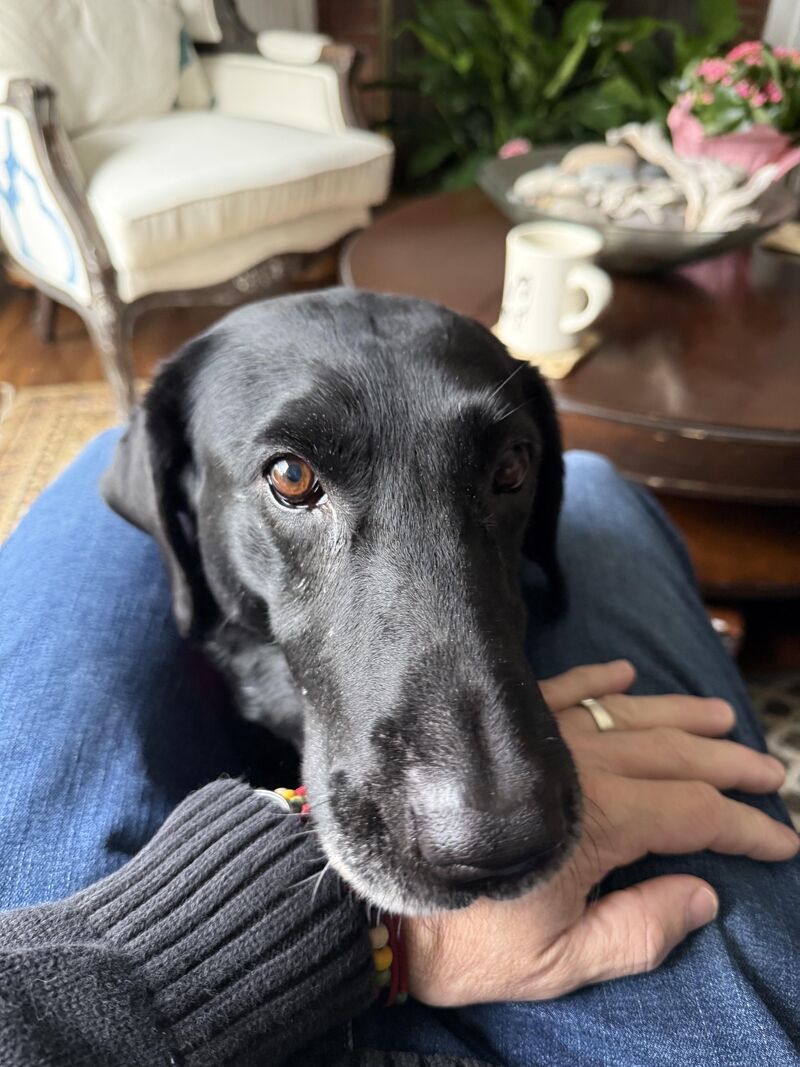 I want coffee too…