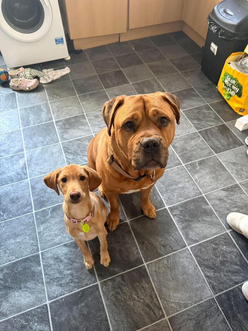 My girl brings the best out of everyone