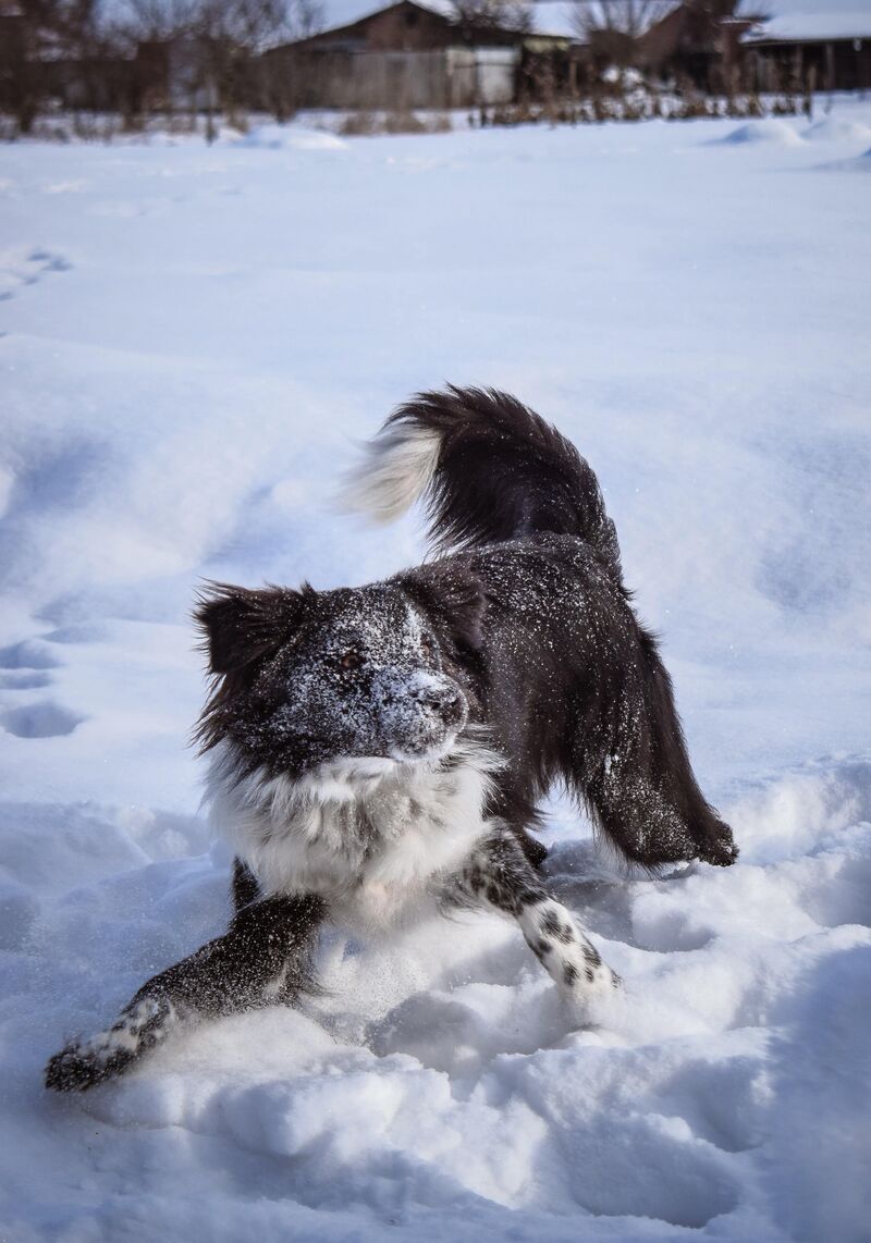 Does anyone bc hates rain and muddy weather?