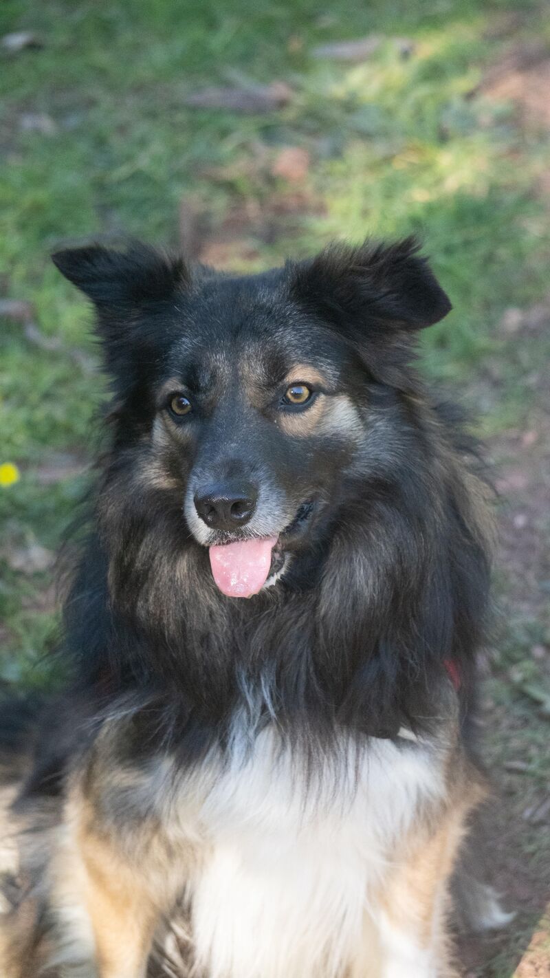 Moon says hello to you from France.
