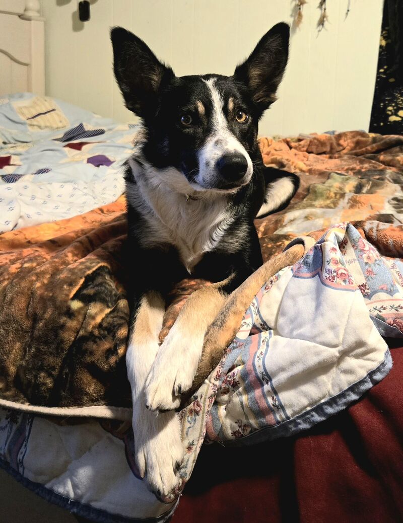 Lool at this handsome boy 🥰