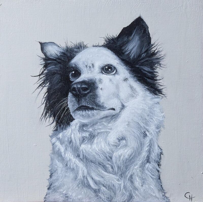 Border collie painting I did recently I'd like to share :)