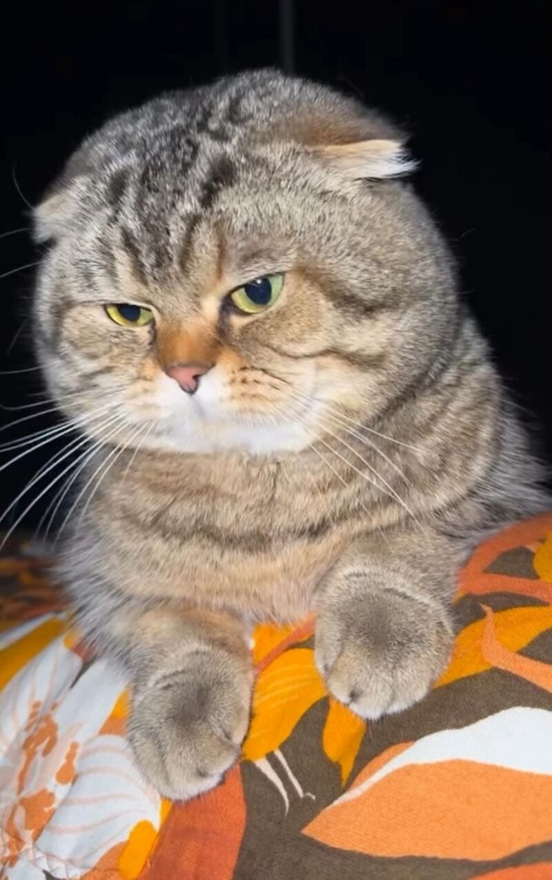 I thought you guys might appreciate my little roommate