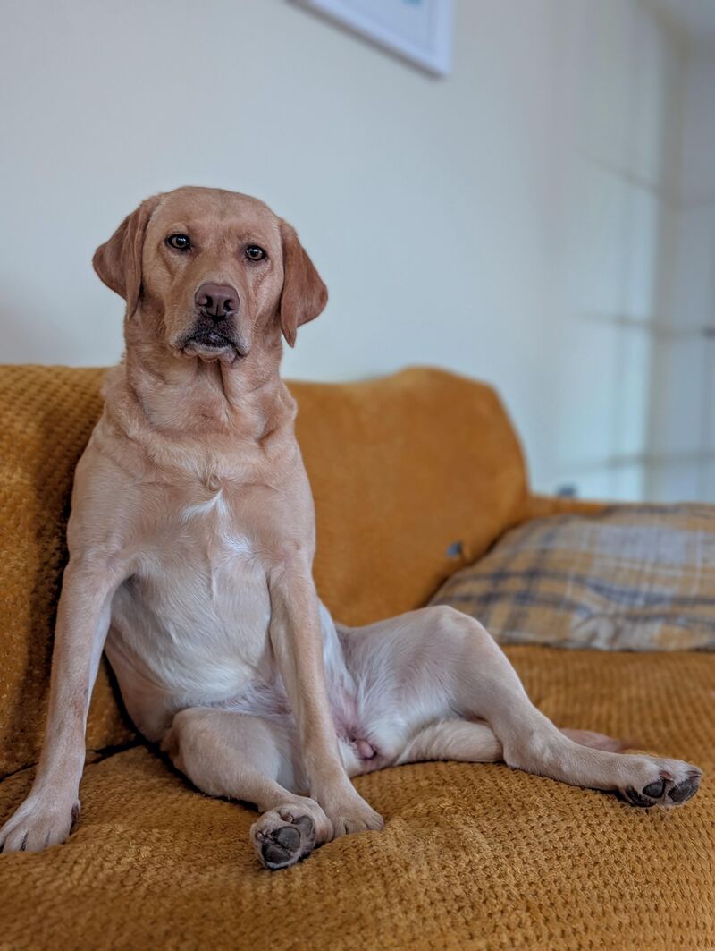 Contemplating the weight of the day, as her body says “sit” and her legs say “no.”
