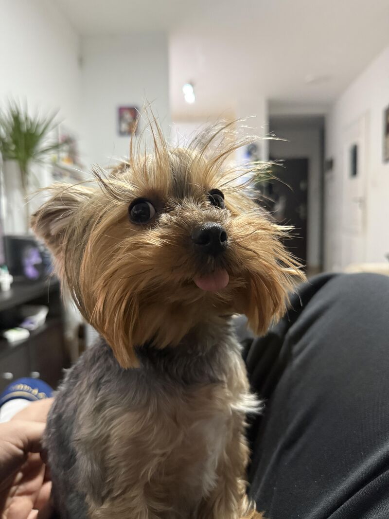 POV: you opened a bag of chips at 3am.