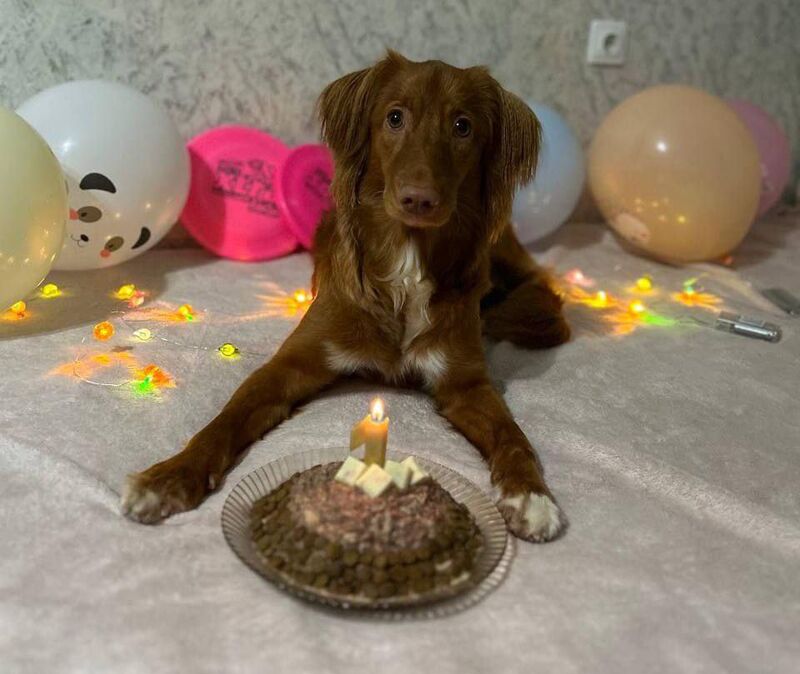 it’s micky, he’s 1 year old today