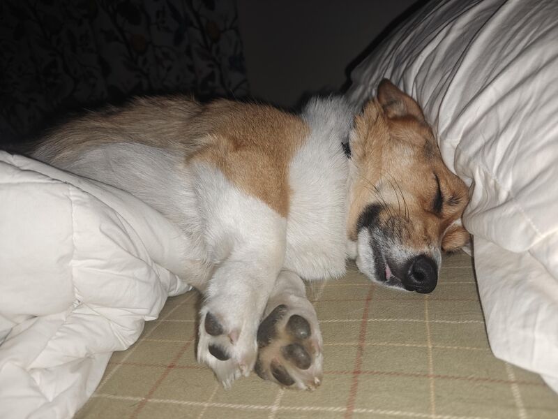 I woke up next to this 😂