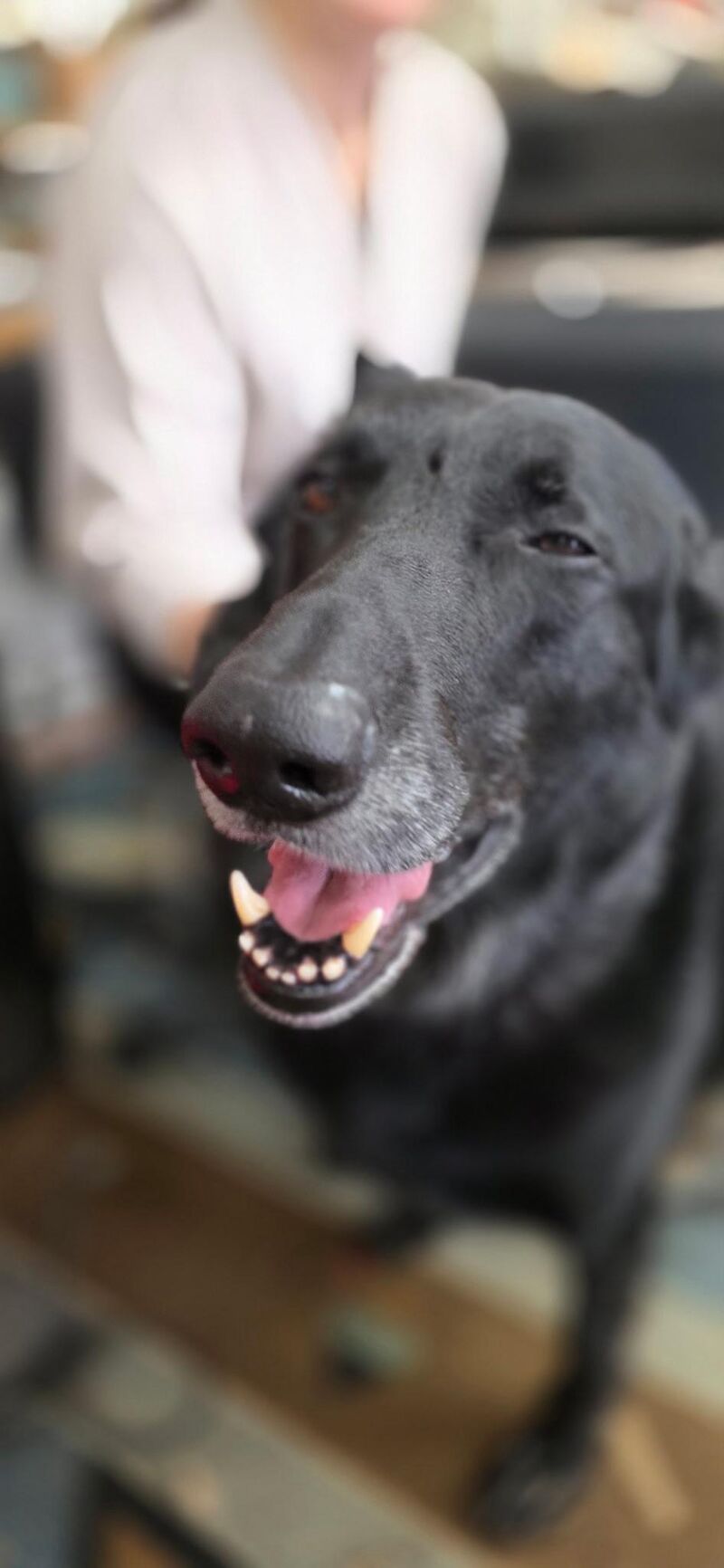 Excited by, or afraid of, airplanes? A new quirk.