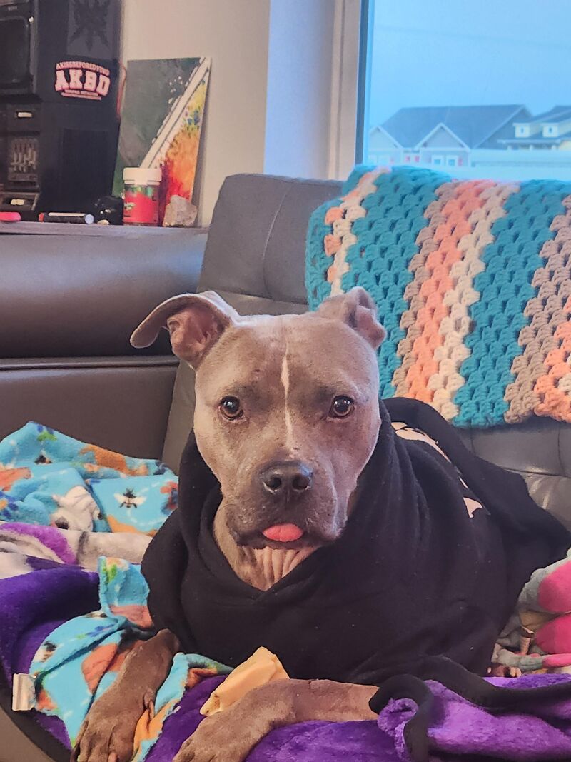 Perplexed by the sound of wobbling sheet metal